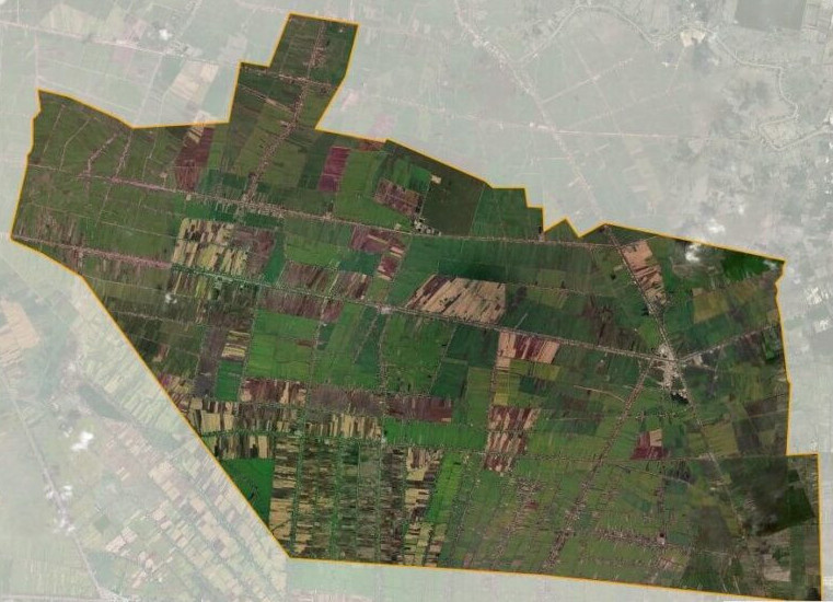 Bản đồ vệ tinh huyện Tân Thạnh