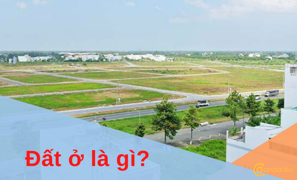 Đất OTC là loại đất gì?
