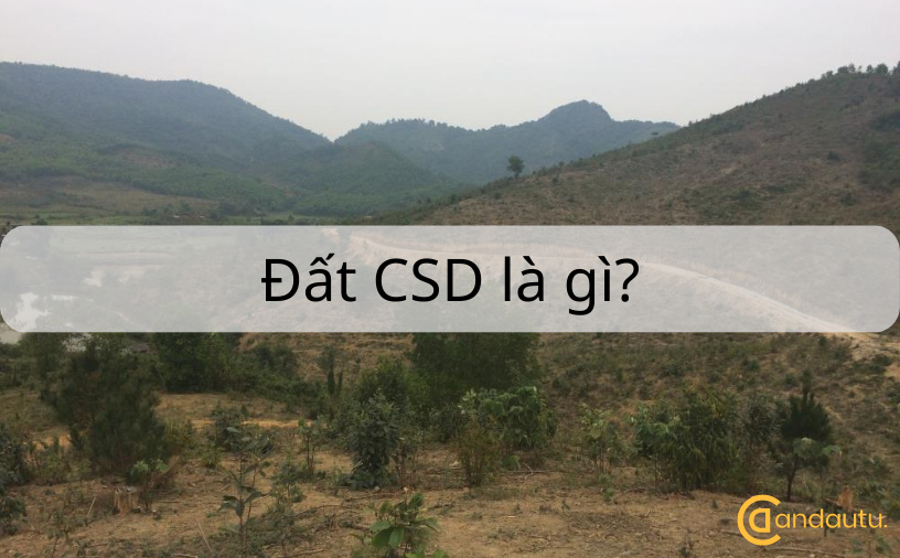Đất CSD là thuật ngữ ghi chép tắt của văn cảnh Chưa Xác Định mục tiêu sử Dụng, vậy khu đất CSD là gì và sở hữu hiệu quả thế nào cho tới nghành nghề dịch vụ bất tỉnh sản?
