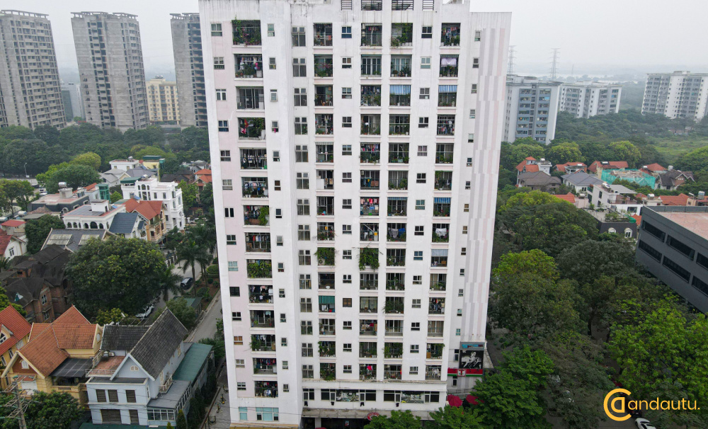 Chung cư South Building: Thông tin & Tiến độ